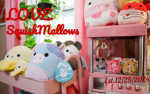LOVE SQUSISHY MALLOWS
