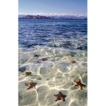 *~ocean~flows~*