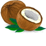 Official Little Coconuts