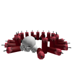 Momento Mori Crown