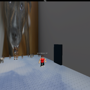 Escape Doge Obby!