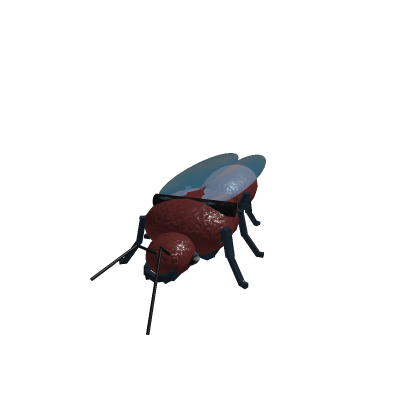 fire ant queen