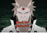 Book Of Shinobi