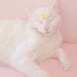 𝗕𝗲