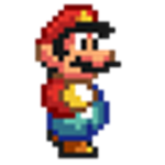 The Official mario bros. fan club