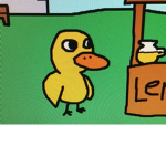DUCK RAID GROUP