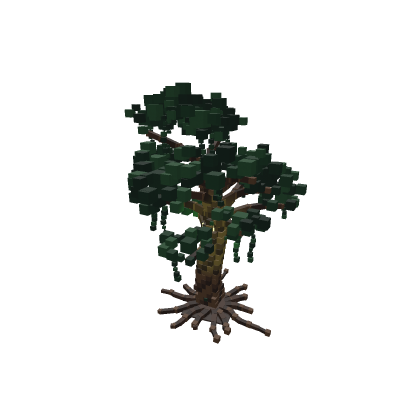 Ancient Tree