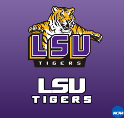 -NCAA- Tiger Stadium
