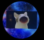 spacecat and bagelblits lovely island