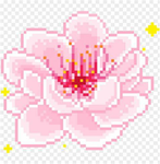STAR FLIGHT<3