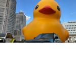 DUCKLAND GOVERMENT
