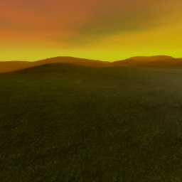 Sunset Field