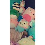 Squishmellow fam!!