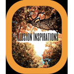 illusion inspirations