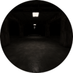 A Disappearance