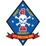 Bravo Company, 1st Reconnaissance Battalion