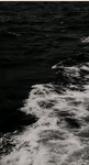 {Ocean}