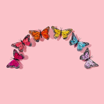 Aesthetic butterly