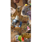 ~Capybara Gang~