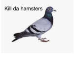Karen vs memes