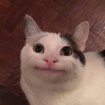 총게임 그룹
