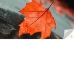 Leafblown Entertainment