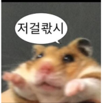 로그데몬:]