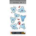 Koala gruppe
