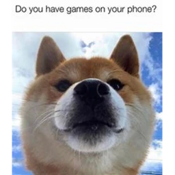 Dog Life icon