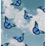 Sara's Butterfly Group