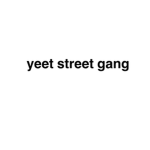 yeet street the yeet gang