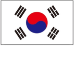 대한 군대