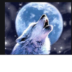 husky moon fan club