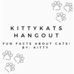 ||TheCatGroup||