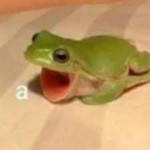 MiniXD