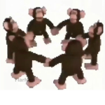 MONKEY_SQUAD!!!