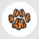 The Tiger Playz