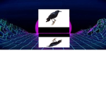 Crow O T A K U S