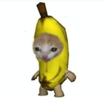 ITsmehHannah
