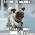 ONLY THE PUG FAMS