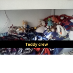 # teddy group