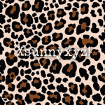 X sunny xy z fan group! :)