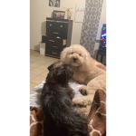 Kodak and nelly