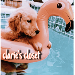 .+* clarie’s closet *+.