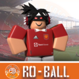 [ROBALL] Public Pitch
