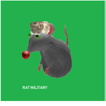 The Rat Military Service