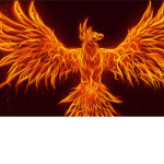 Find your fire