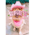 ღ Sophie’s wardrobe ღ