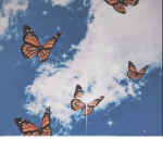 Beautiful firefly’s