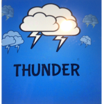 The Thunder X Group